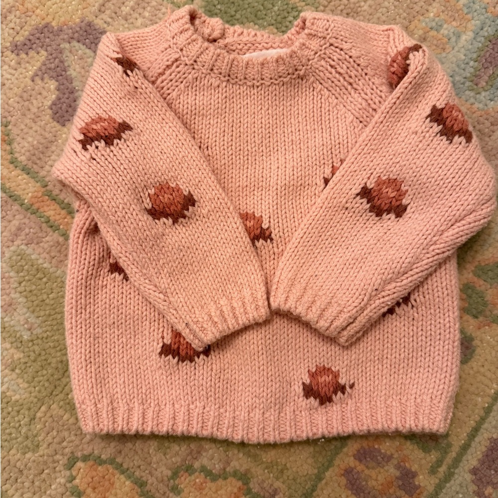Zara Pink Sweater with flowers 3-6m